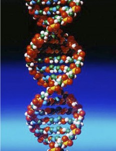 DNA-modeli_dna_icinde_veri_saklanacak