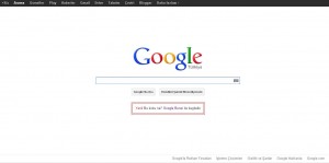google_1_nisan_sakasi_google_burun